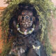 Mardi Gras MisChief Swamp People Lady in Green – Connie Born, artist